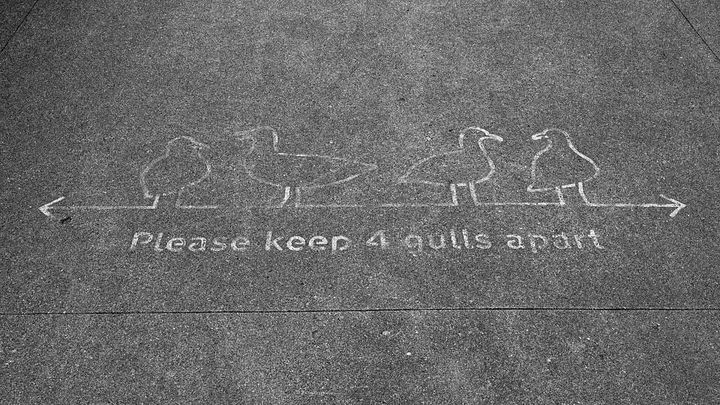 The Crisis of Coercion