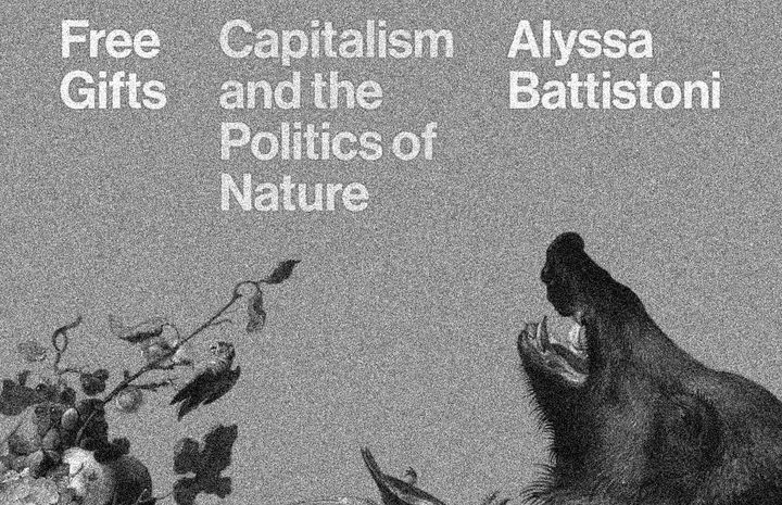 Freedom in the Abstract