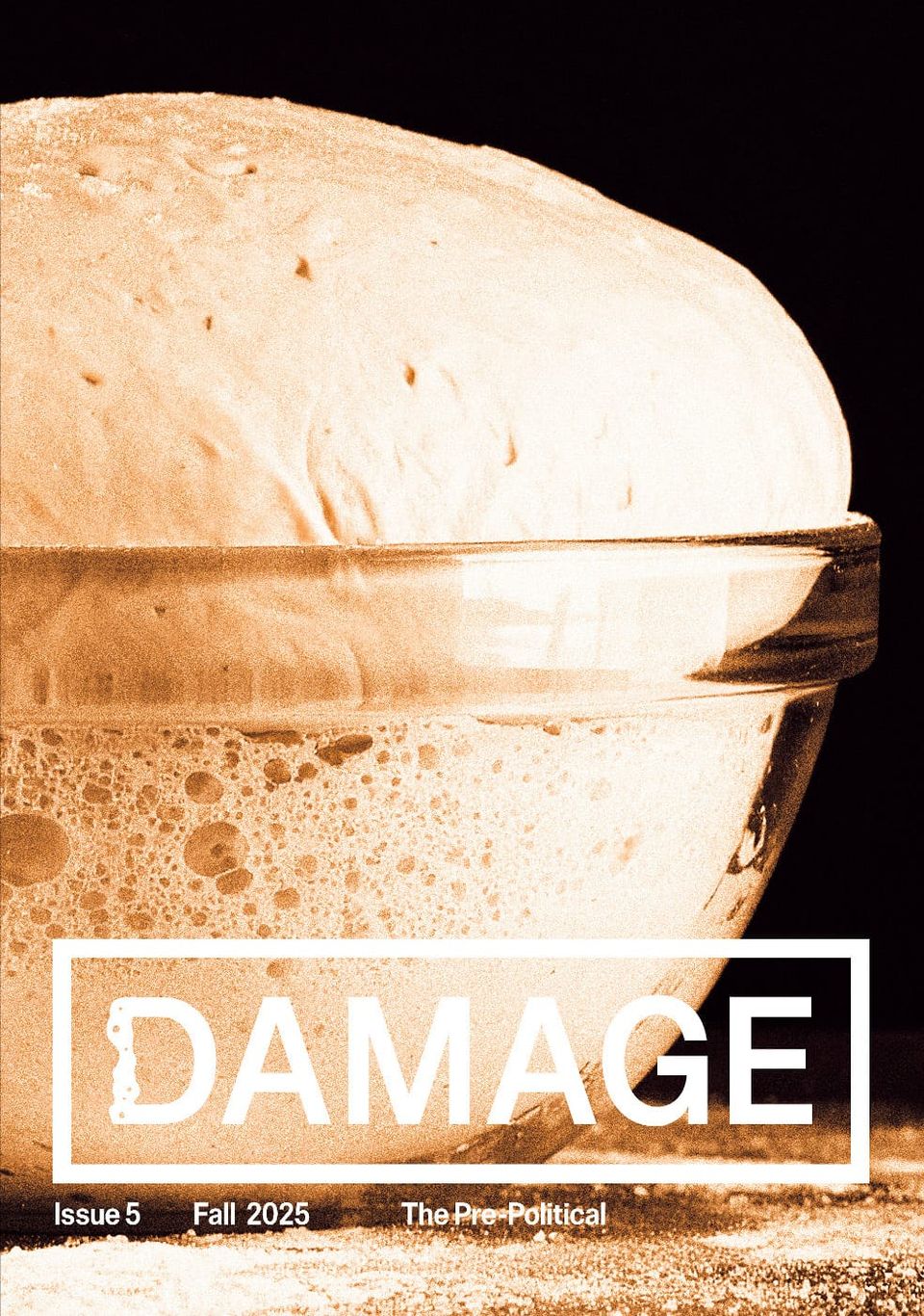 Damage Magazine Issue 5: The Pre-Political