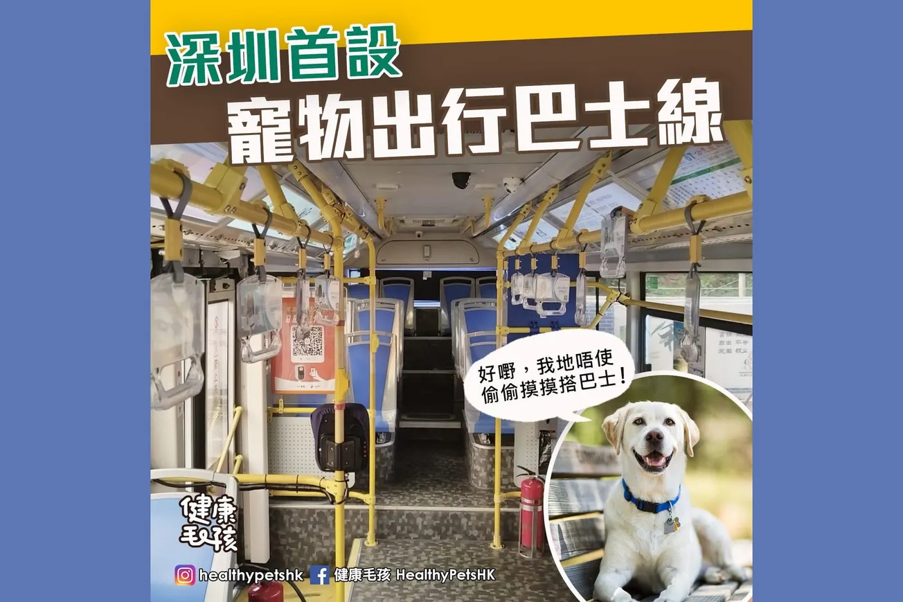 深圳首設 寵物出行巴士線