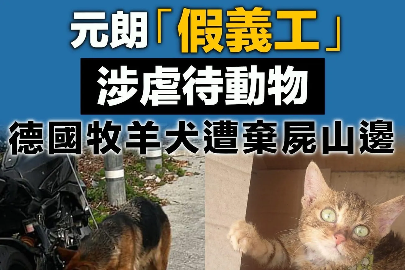 元朗「假義工」涉虐待動物 德國牧羊犬遭棄屍山邊