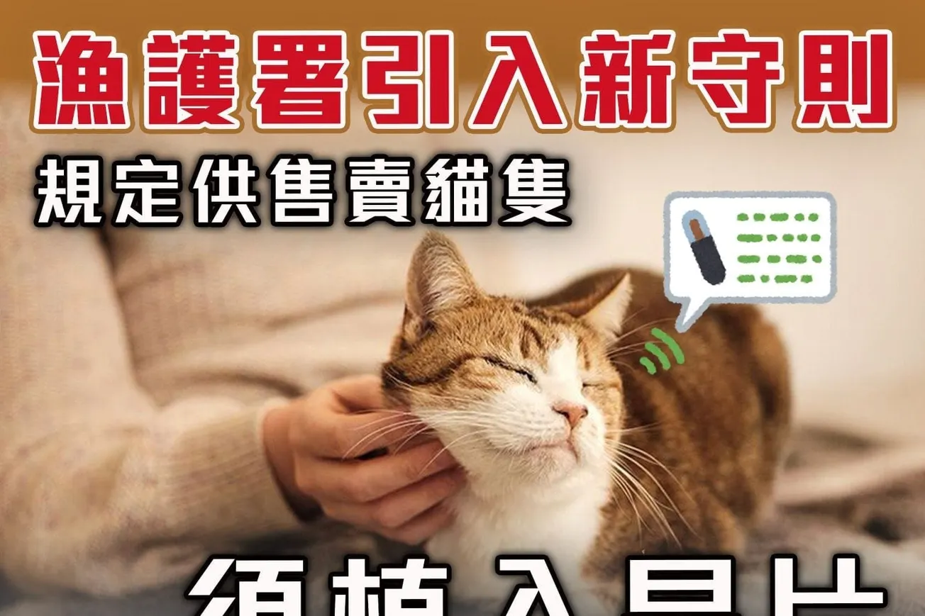 漁護署引入新守則 規定供售賣貓隻 須植入晶片