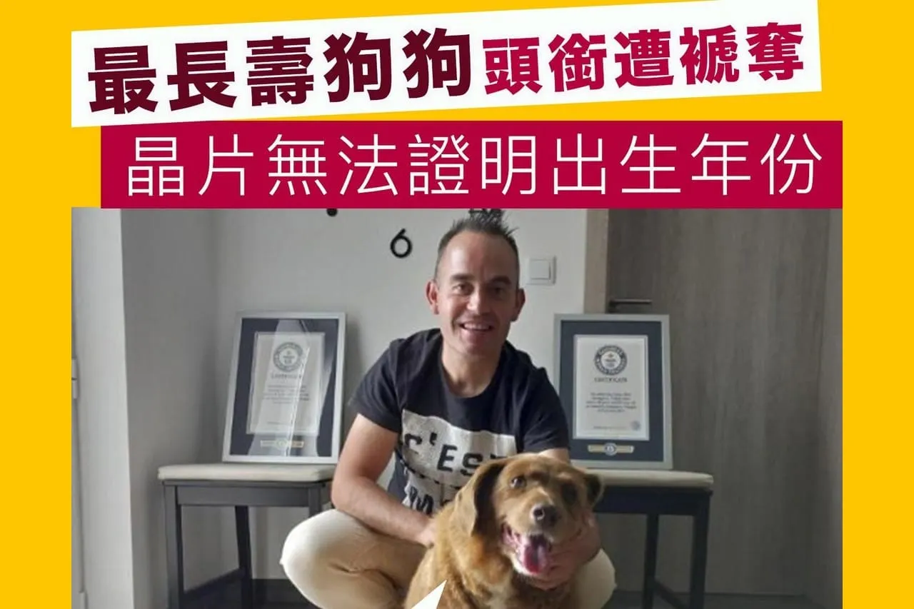最長壽狗狗頭銜遭褫奪 晶片無法證明出生年份