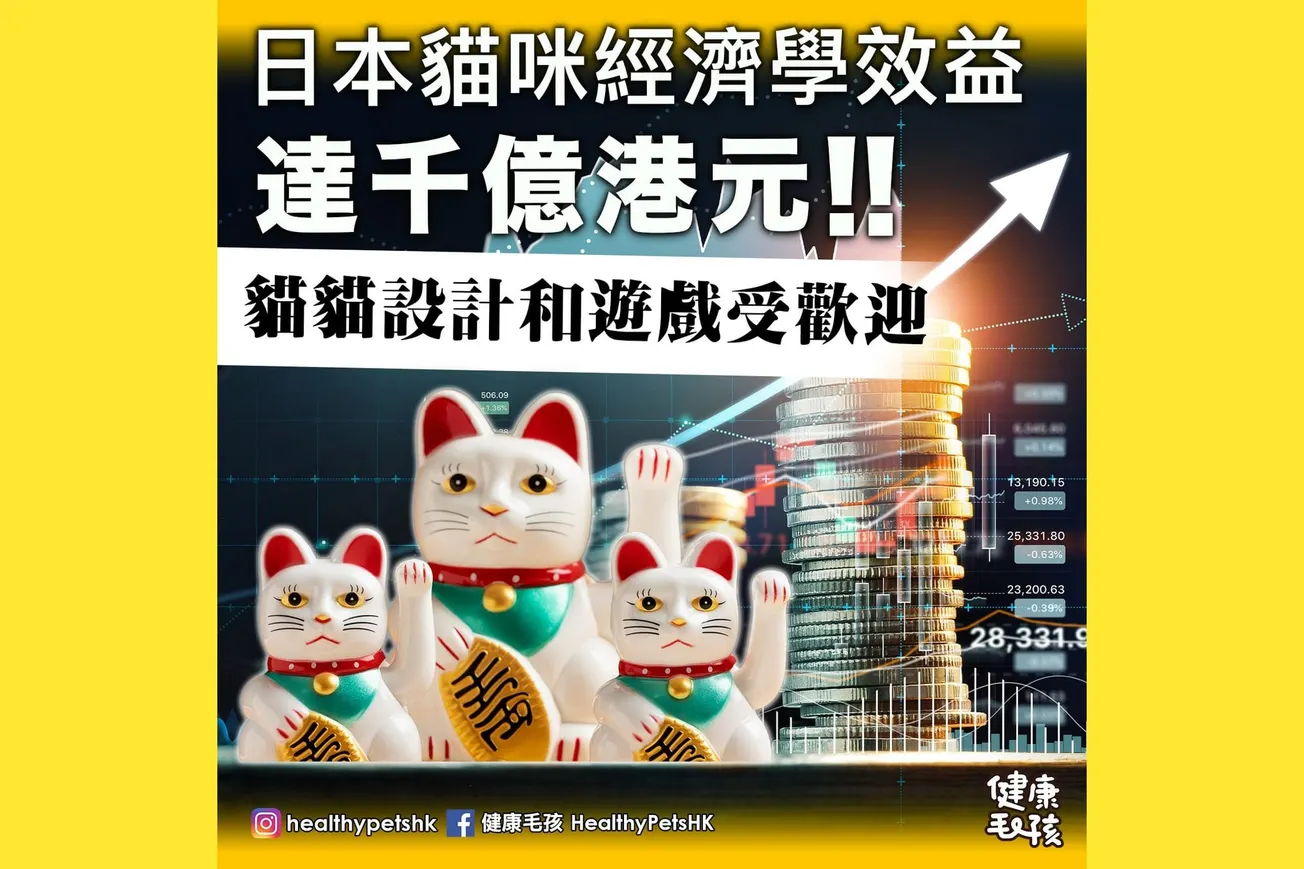 日本貓咪經濟學 達千億港元 貓貓設計和遊戲受歡迎