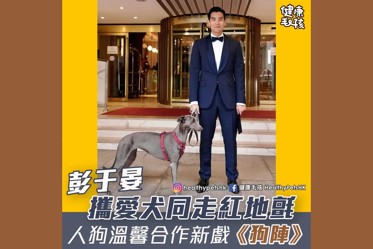 彭于晏攜愛犬同走紅地氈 人狗温馨合作新戲《狗陣》