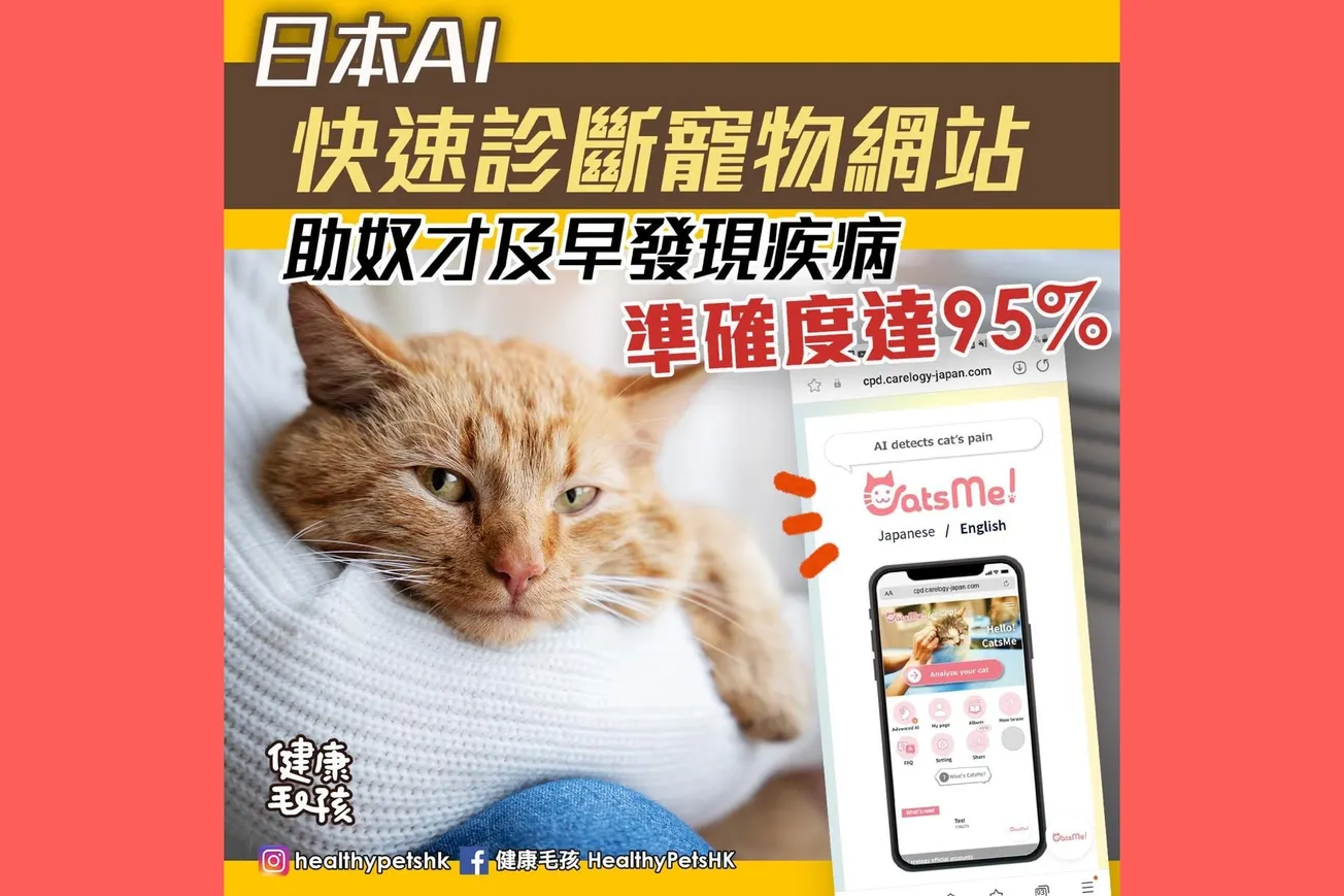 日本AI 快速診斷寵物網站 助奴才及早發現疾病 準確度達 95%