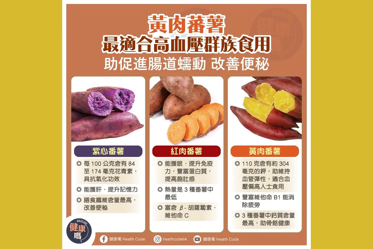黃肉蕃薯 最適合高血壓群族食用 助促進腸道蠕動 改善便秘