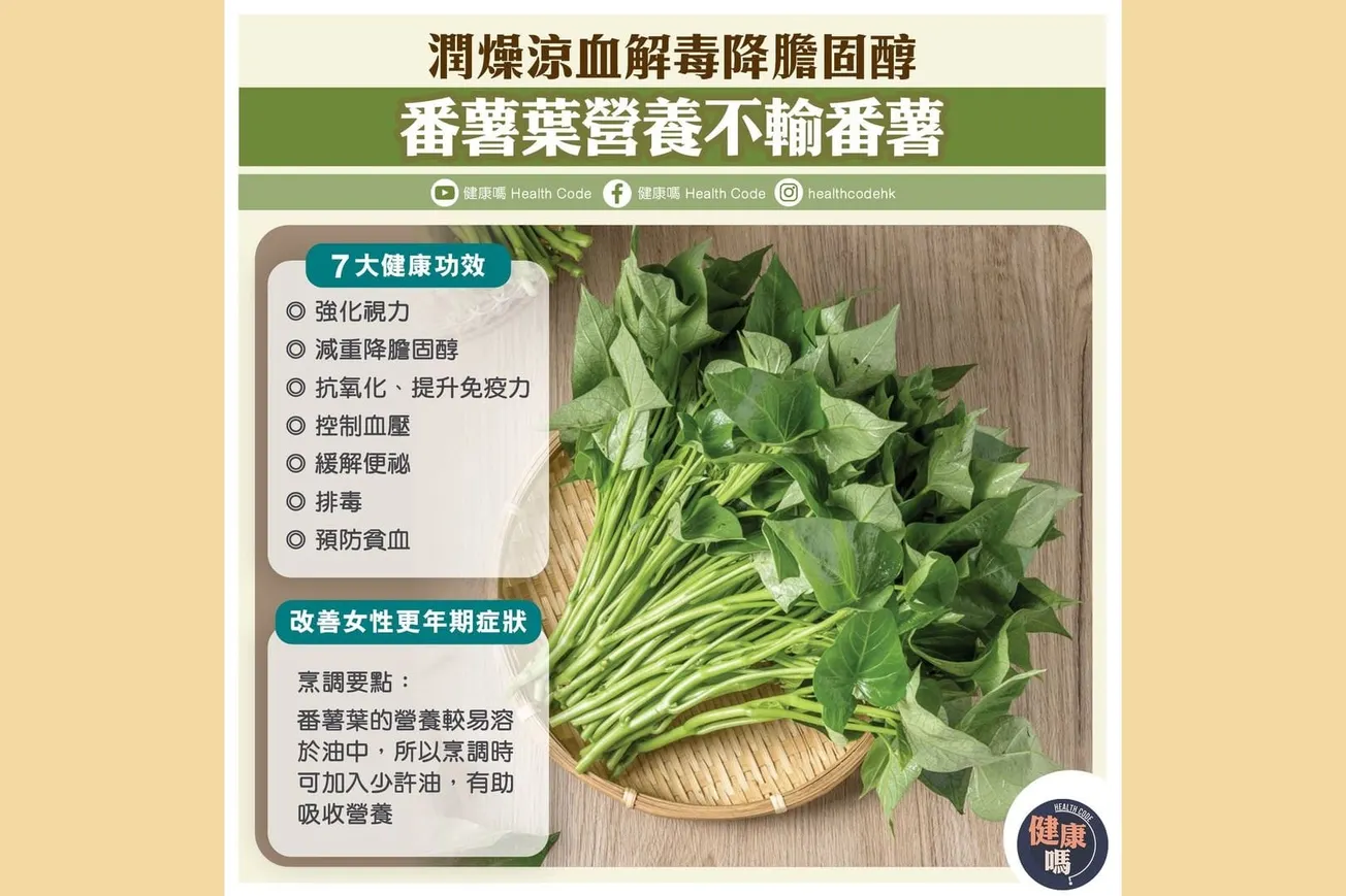 潤燥涼血解毒降膽固醇 番薯葉營養不輸番薯