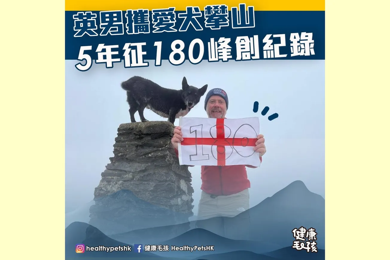 英男攜愛犬攀山 5年征180峰創紀錄