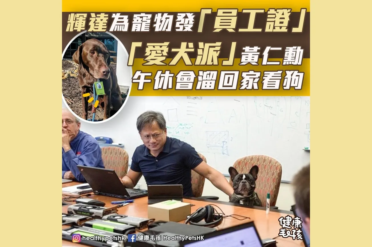輝達為寵物發「員工證」 「愛犬派」黃仁勳午休會溜回家看狗