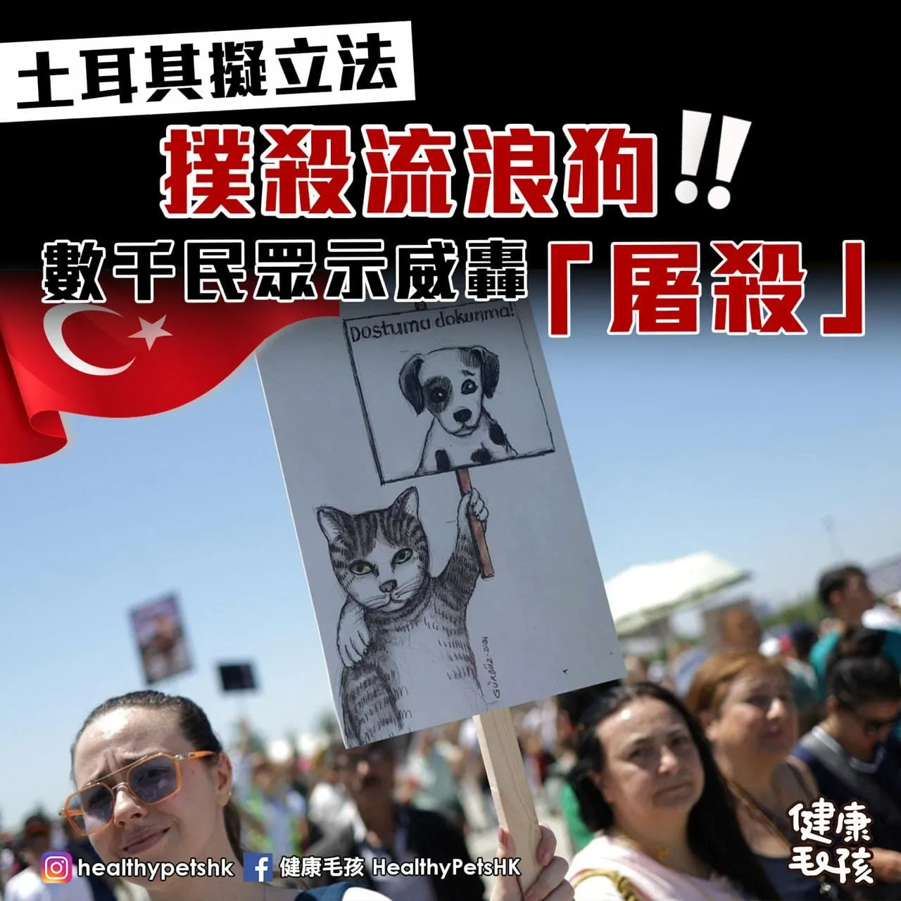 土耳其擬立法 撲殺流浪狗 數千民眾示威轟「屠殺」