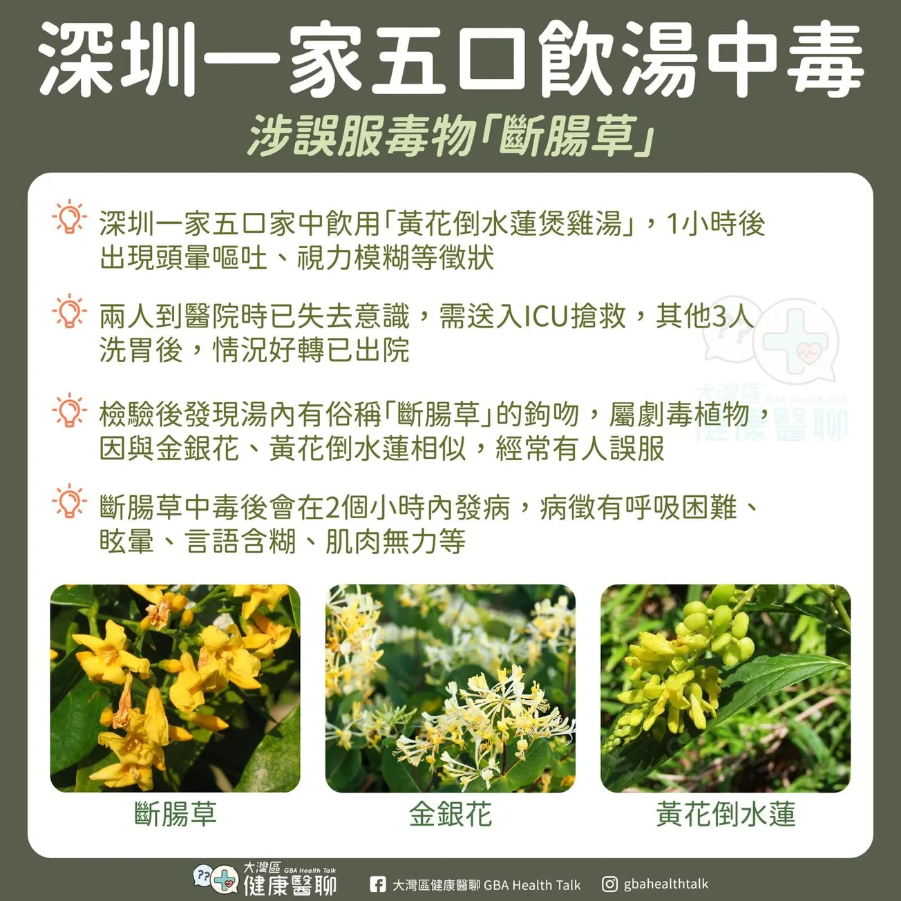 深圳一家五口飲湯中毒 涉誤服毒物「斷腸草」