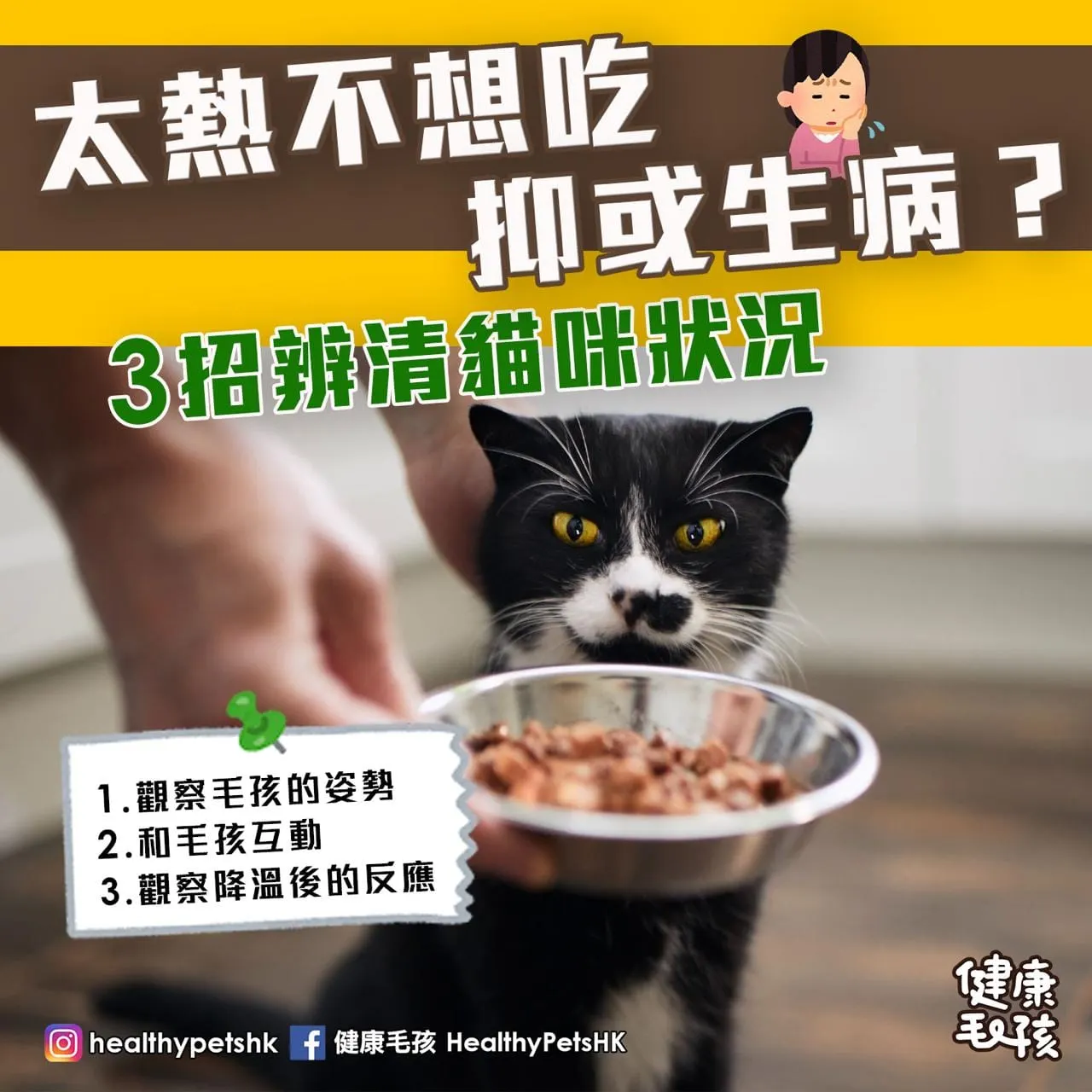 太熱不想吃抑或生病 3招辨清貓咪狀況