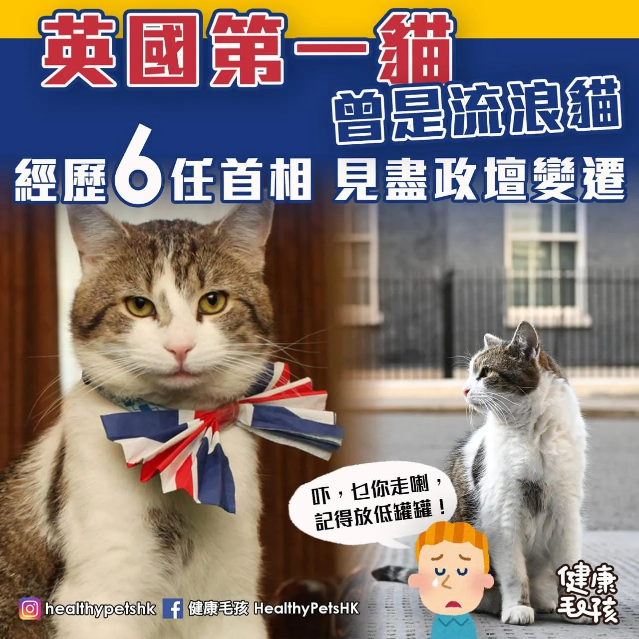 英國第一貓 曾是流浪貓 經歷 6 任首相 見盡政壇變遷