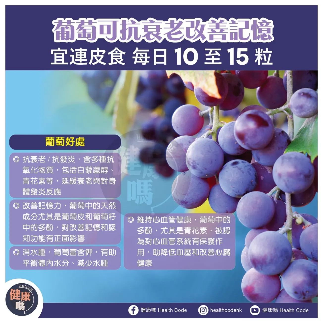 葡萄可抗衰老改善記憶 宜連皮食 每日 10 至 15 粒