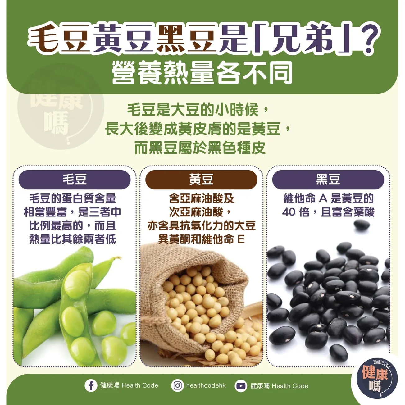毛豆黃豆黑豆是「兄弟」 營養熱量各不同