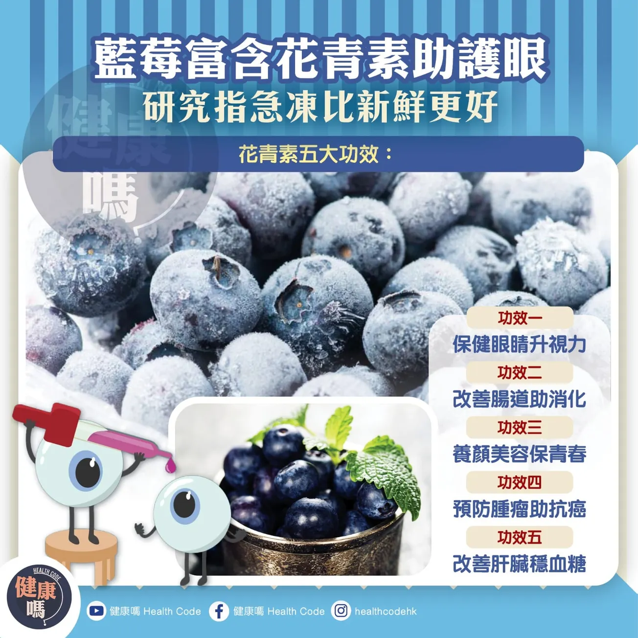 藍莓富含花青素助護眼 研究指急凍比新鮮更好