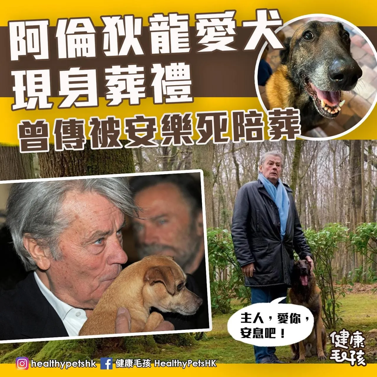 阿倫狄龍愛犬現身葬禮 曾傳被安樂死陪葬