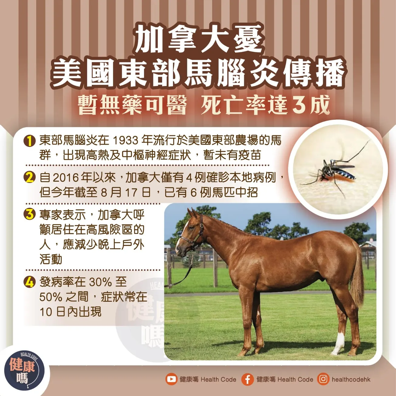 加拿大憂美國東部馬腦炎傳播 暫無藥可醫 死亡率達 3 成