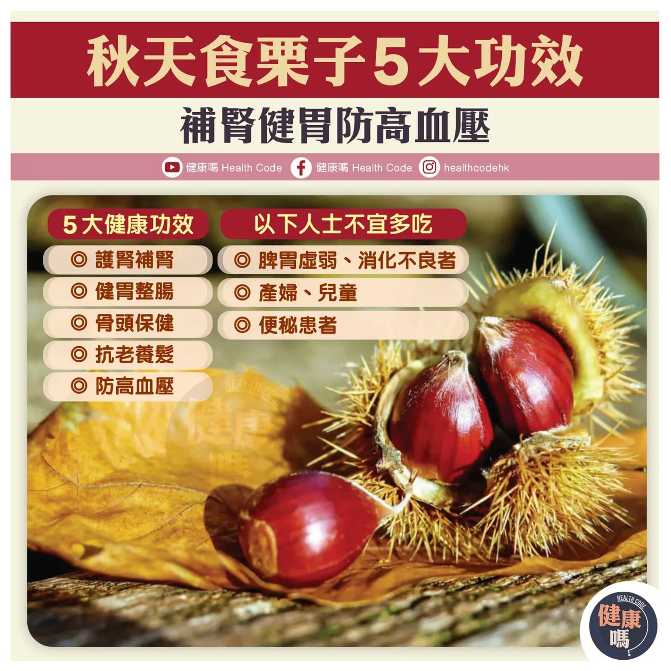 秋天食栗子 5 大功效 補腎健胃防高血壓