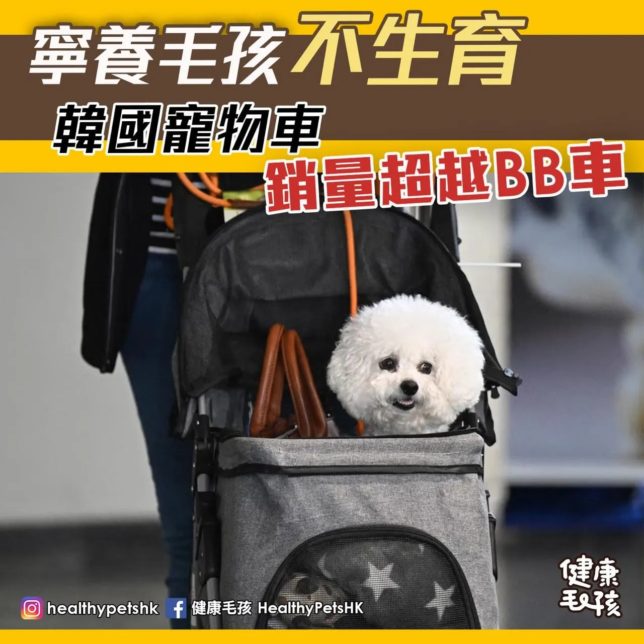寧養毛孩不生育 韓國寵物車銷量超越BB車