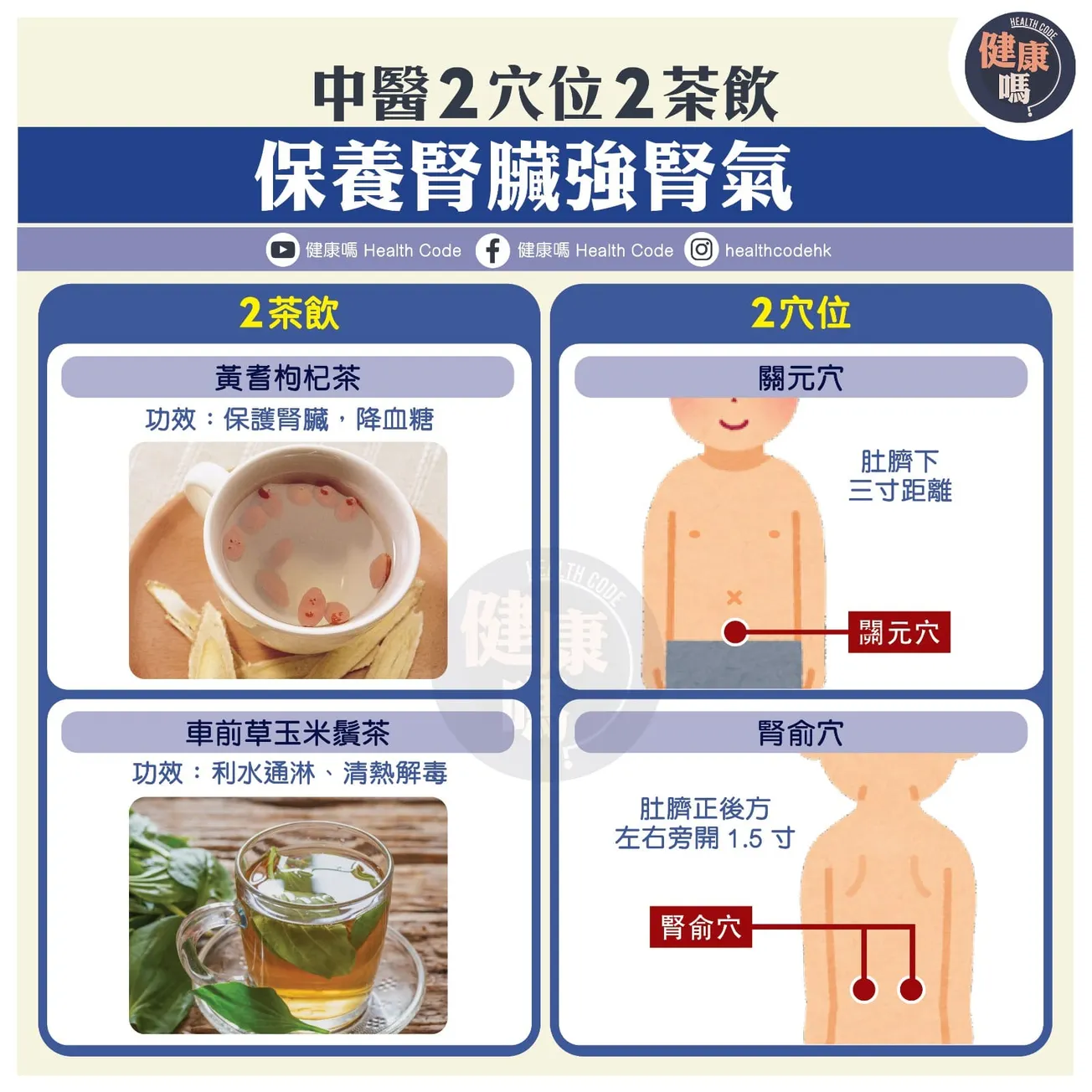 中醫 2 穴位 2 茶飲 保養腎臟強腎氣