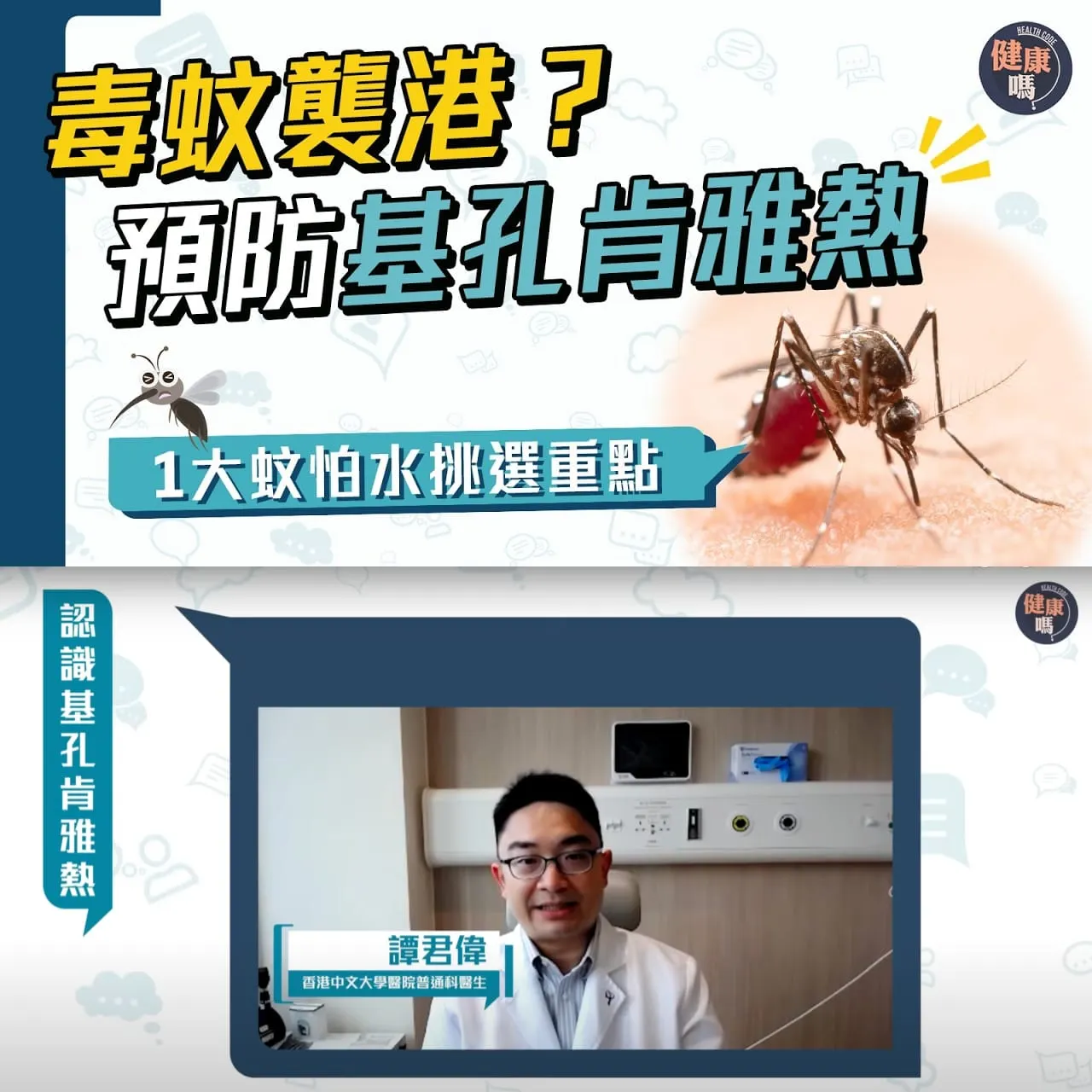 基孔肯雅熱襲港？毒蚊一咬手尾長｜蚊怕水含1成份才有效！3招慎防社區傳播