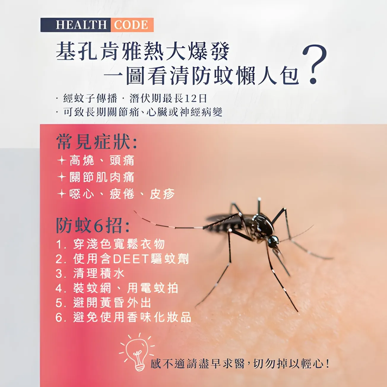 【基孔肯雅熱】防蚊懶人包