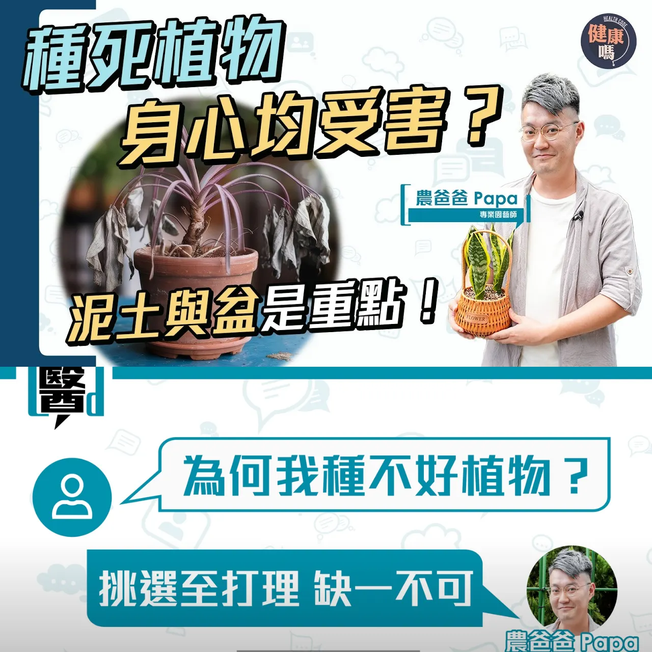 不做植物殺手！正確打理 避4大健康隱憂｜換土換盆成重點 提防園藝界商家2大騙局