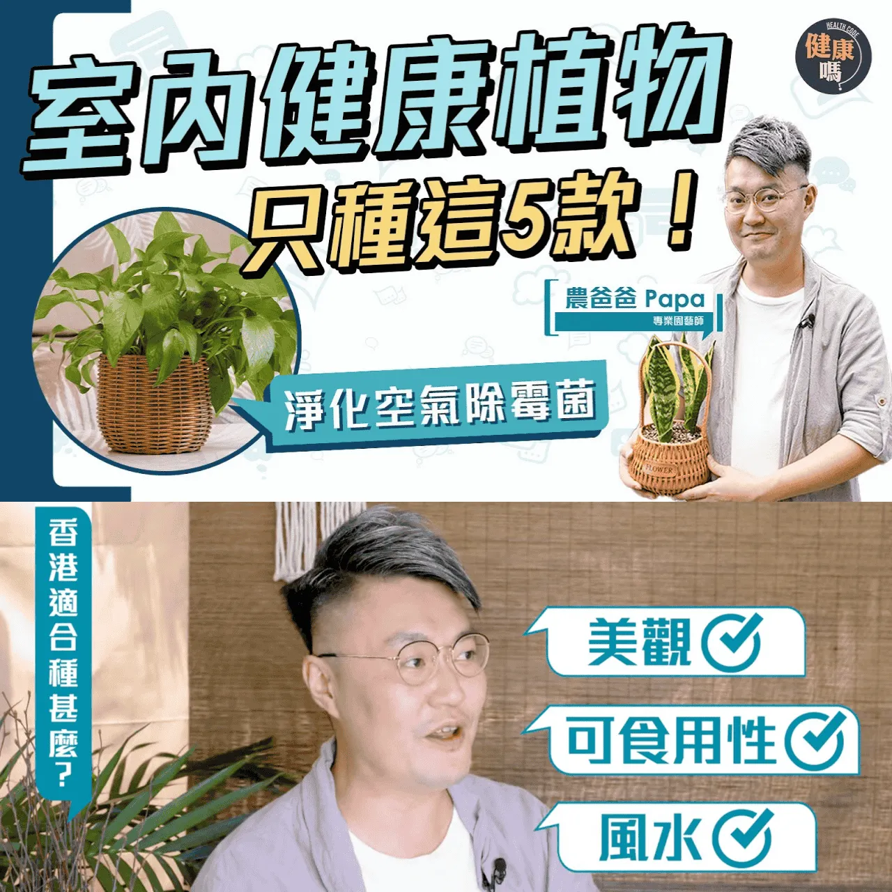 嚴選5大家居健康盆栽！種1盆=1部空氣清新機？｜懶人適用植物 輕鬆除霉菌吸輻射淨化空氣