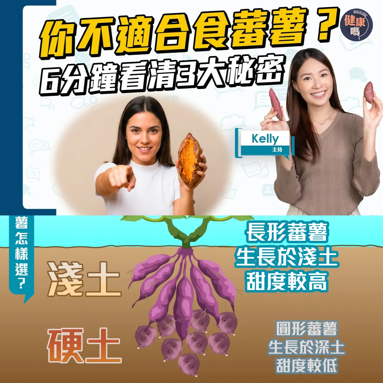 揀蕃薯有講究！有三高 糖尿病 可能吃錯了？｜長形圓形有分別？1招分辨甜度｜雪凍吃更好 但1類人不適用？