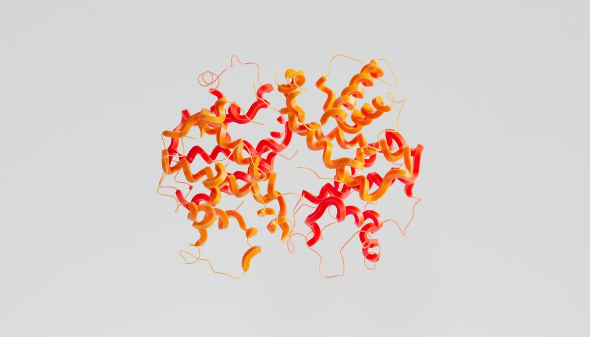 Most Abundant Amino Acid Image
