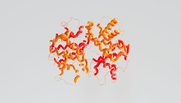 Most Abundant Amino Acid Image