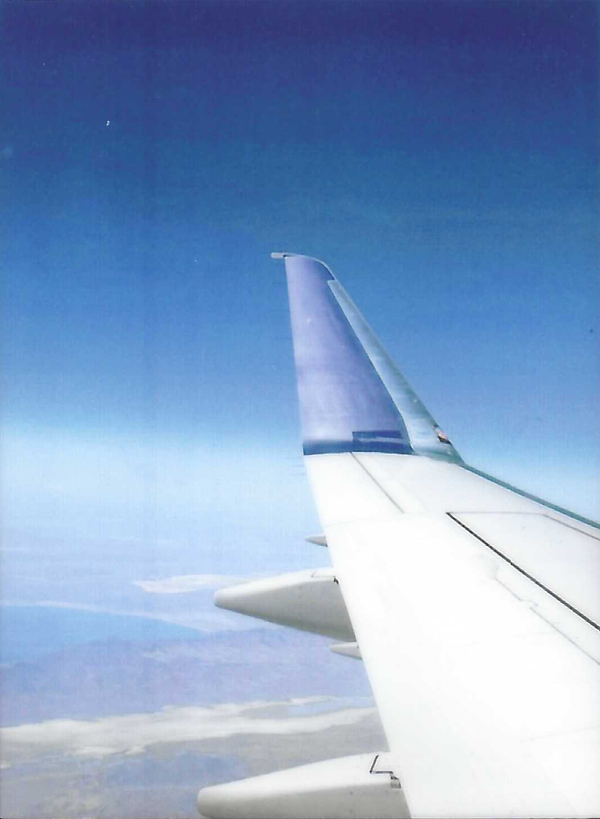 A Flight Attendant's Insight into Plane Crashes... and A Few Destination Recommendations