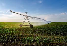 Irrigation par aspersion - Agronomie