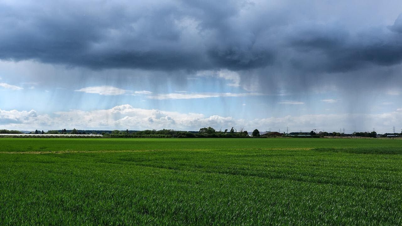 La pluie inonde la moisson, les récoltes retardées