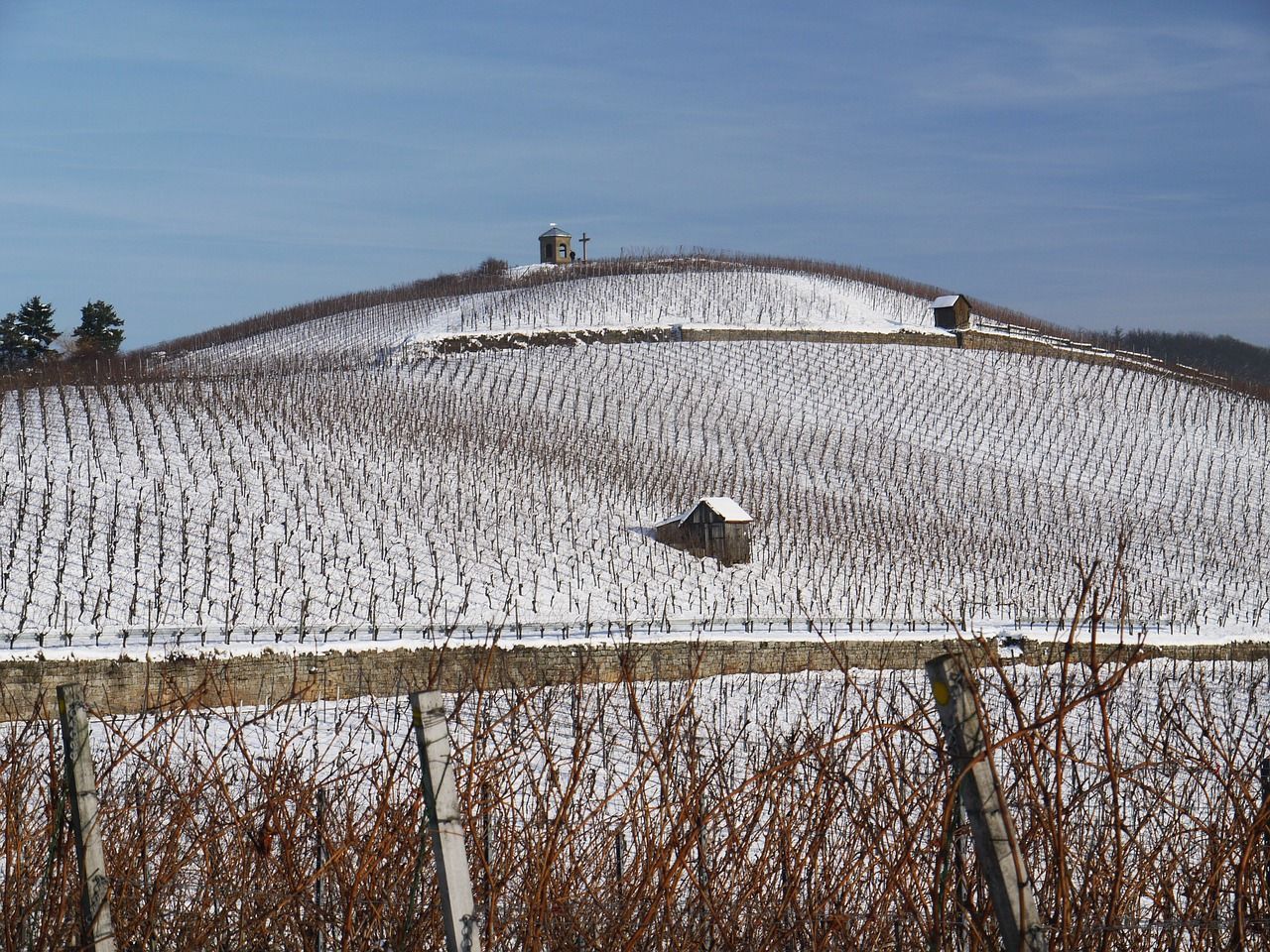 2021, l’année catastrophe pour les viticulteurs et fruitiers de France