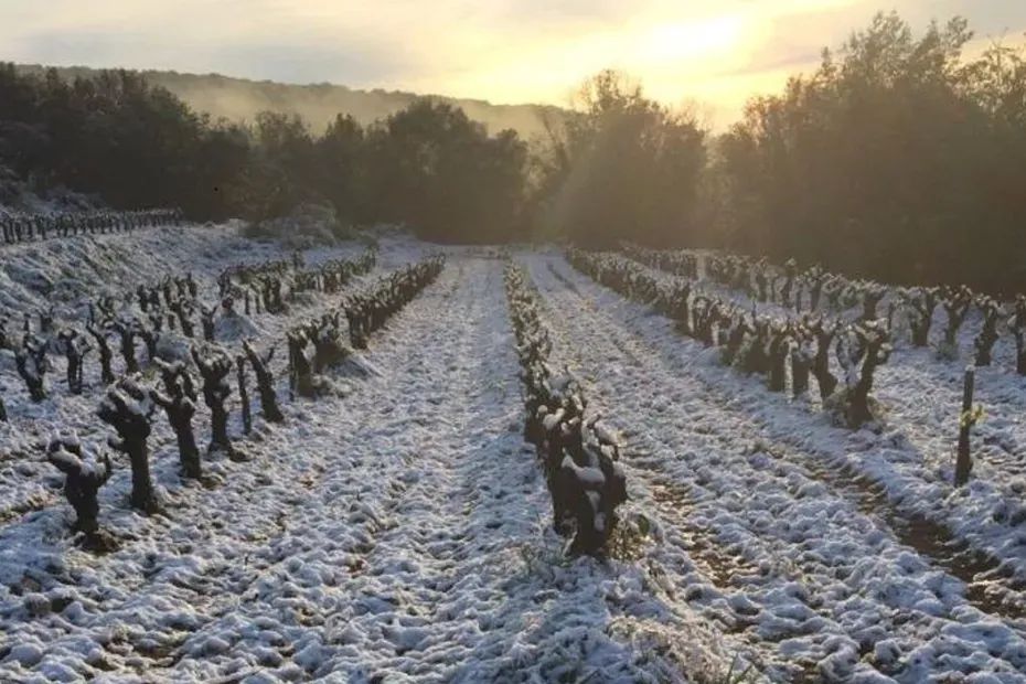 Un air polaire arrive sur la France : la neige est attendue, les gelées redoutées