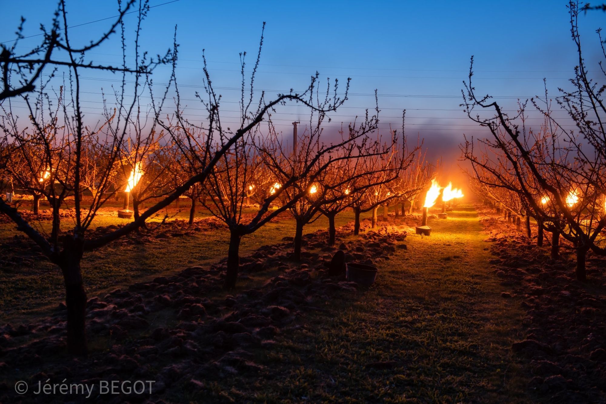 Retour du froid en avril : la nuit la plus glaciale depuis 75 ans !