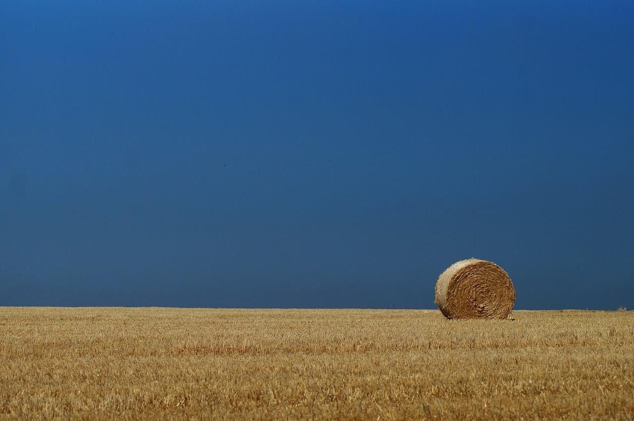 Une nouvelle vague de chaleur menace la France