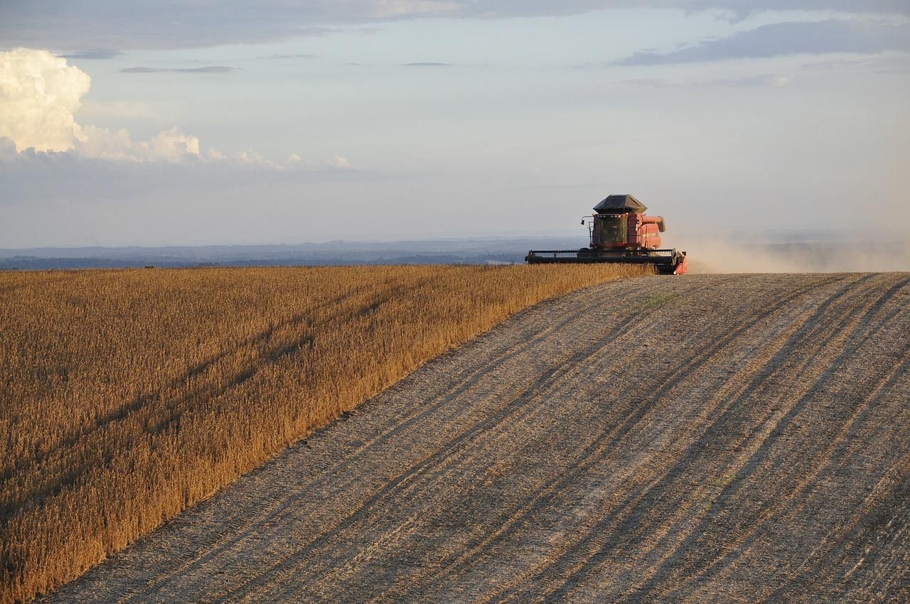 Avec 15 jours d’avance, la moisson 2022 se termine : une situation inédite en France