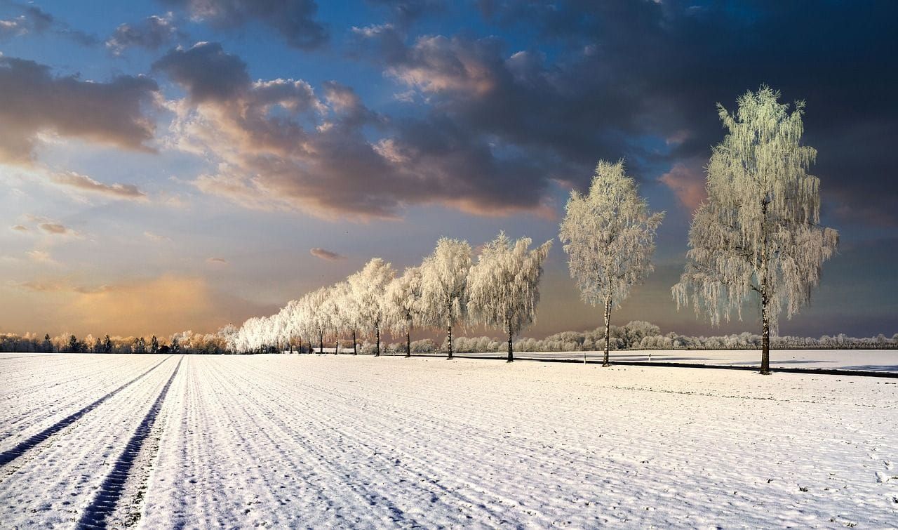 Hiver 2023/2024 : que disent les prévisions saisonnières ?