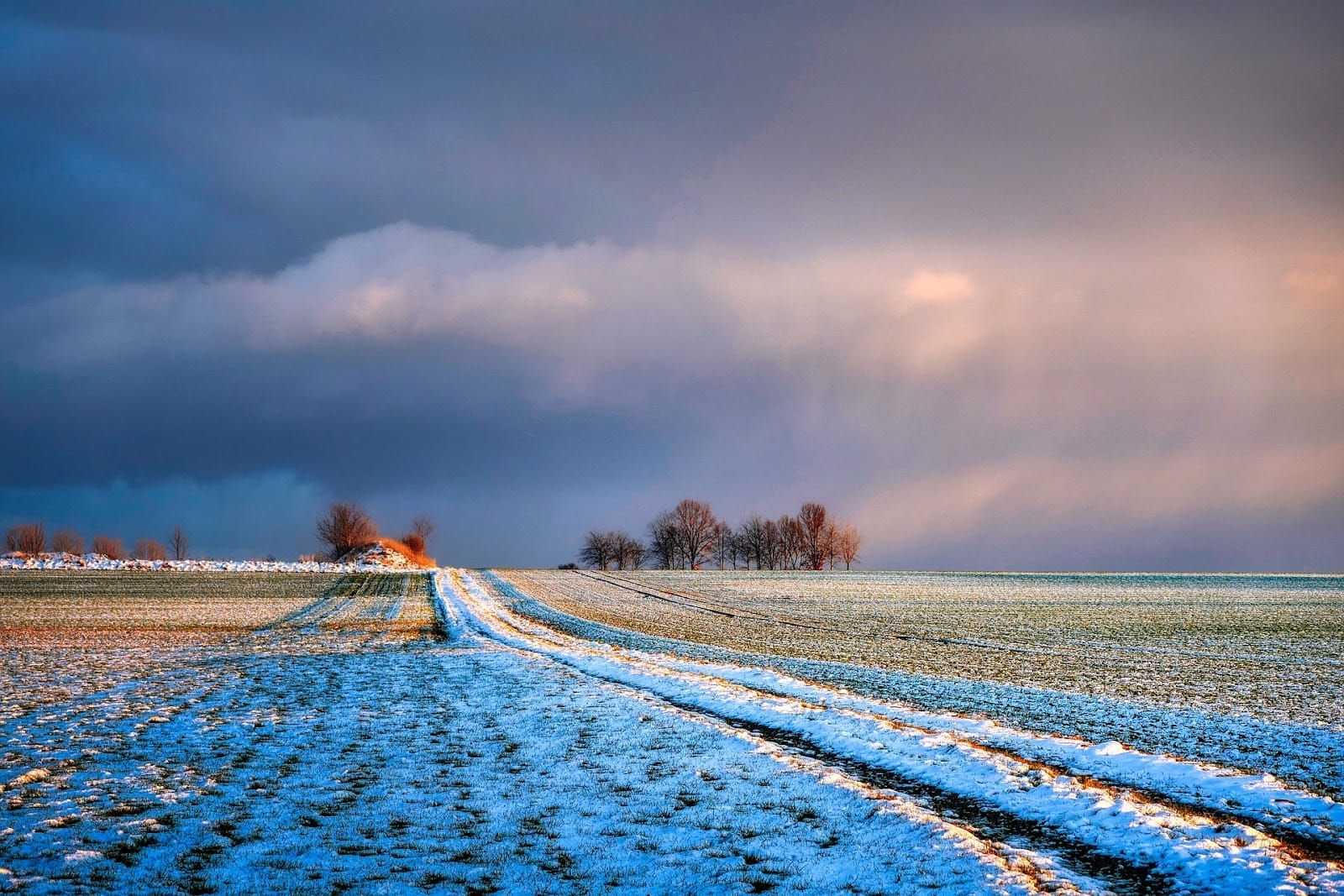 L’hiver 2023/2024 dans le top 3 des hivers les plus chauds en France