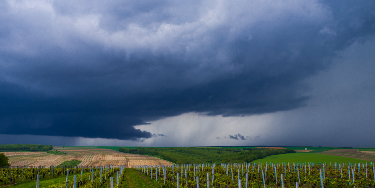 Violents orages en France : avec le retour du beau temps, l'heure est au bilan