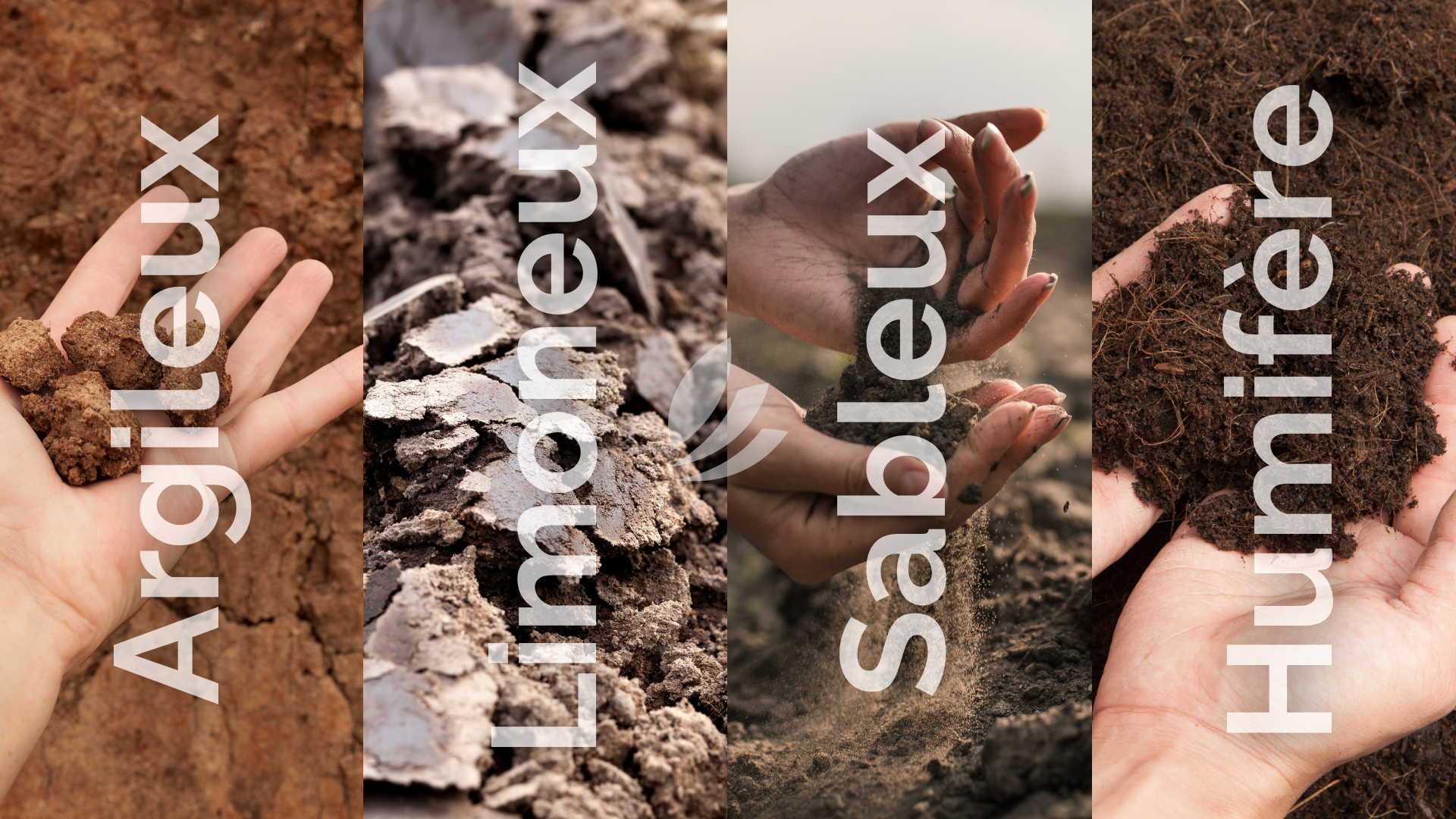 Adapter vos pratiques agricoles selon votre type de sol