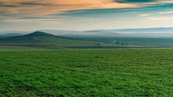 2022 : déjà des records de températures battus