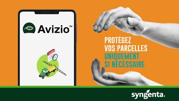 Avizio et Sencrop, duo gagnant pour anticiper le risque maladies des céréales