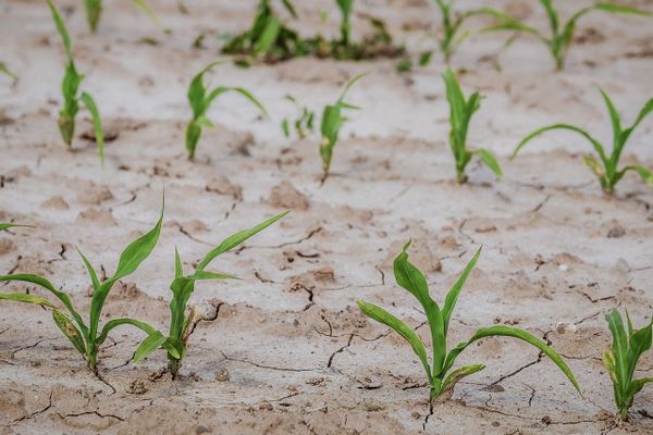 La sécheresse menace déjà en France