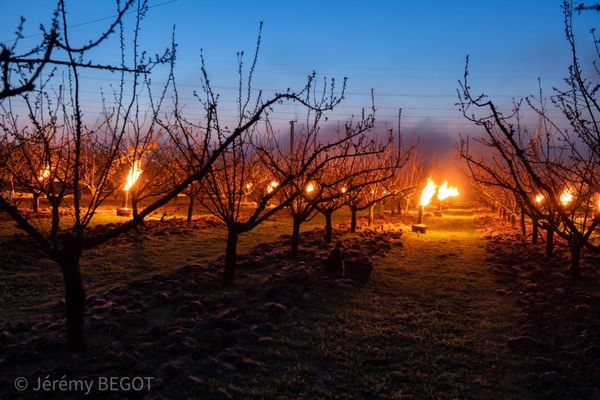 Retour du froid en avril : la nuit la plus glaciale depuis 75 ans !