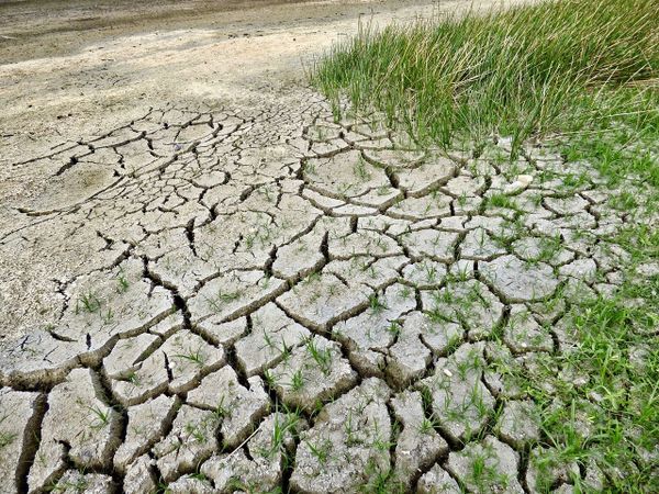 La pluie se fait rare : du jamais vu en région PACA !